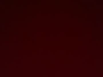 Asialatin_xxx