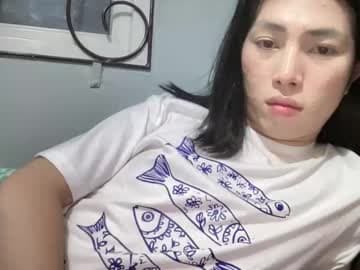 amiracow - Insta 🤍